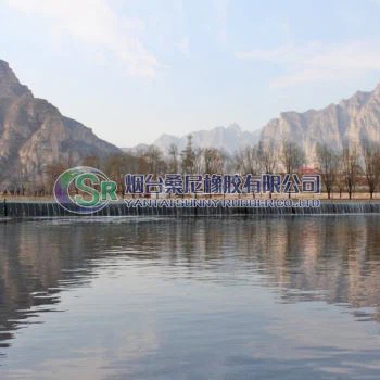 Pneumatisch overlaatpoortsysteem