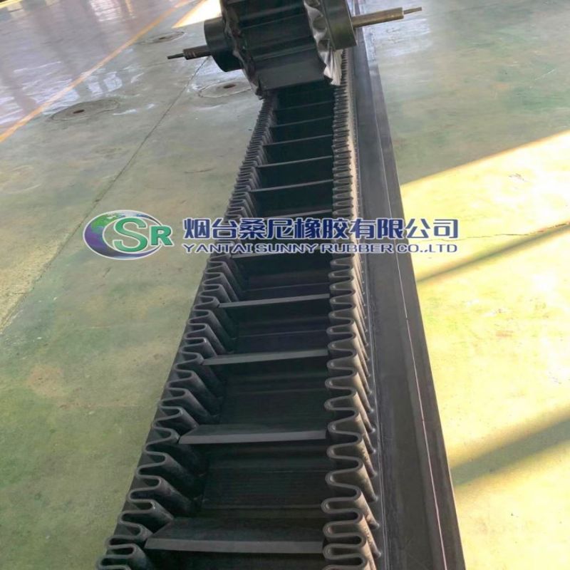 Horizontale SBR/NR rubberen filtratieriem